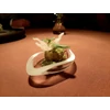 Picture 1/9 -GRASSHOPPER