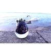 Picture 2/4 -EGG PLANT VASE