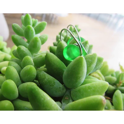 LITTLE LEAF EARRING