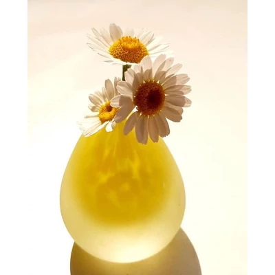 YELLOW EGG