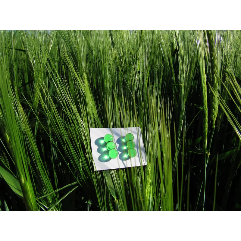 GRASS EARRING